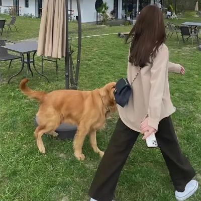 核子弹头